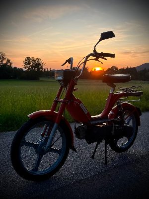 Clubjahr VCS - 2025 – Bild 47